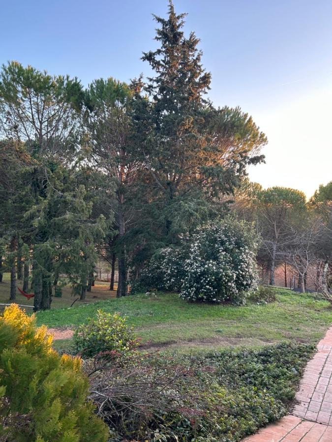 Podere Ceppeti 13 Gabellino Εξωτερικό φωτογραφία